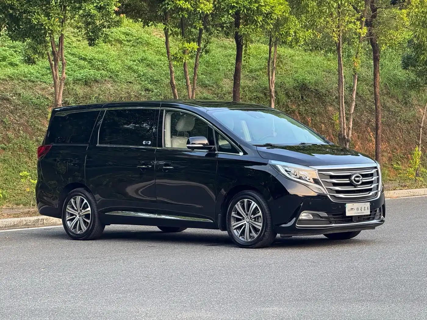 GAC Trumpchi M8 2018 2018 320T Flagship Edition