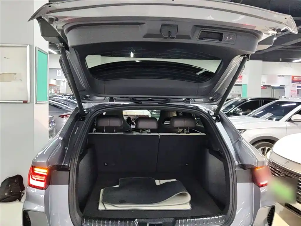 BYD Song PLUS PHEV 2025 DM-i 112KM Honor фото 19