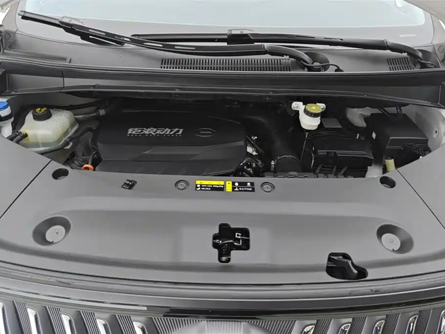 GAC Trumpchi Trumpchi M8 2024 Master Series 400T Premium Edition фото 10
