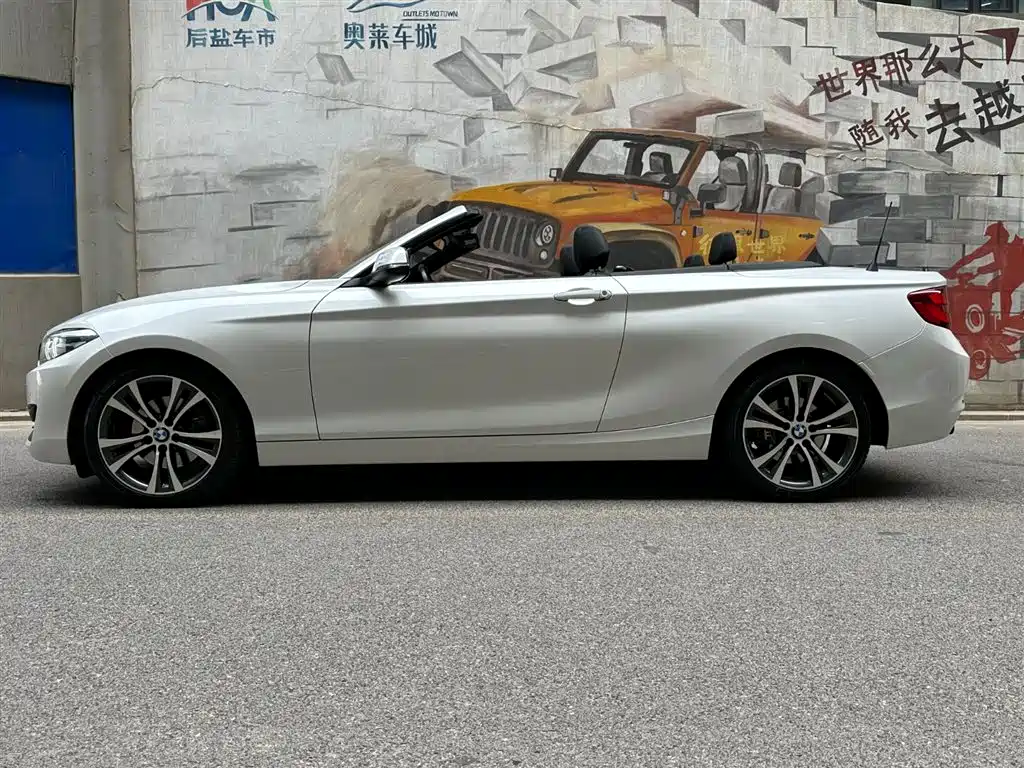 BMW 2 Series (Import) 2019 225i Convertible Coupe Sport Design Package фото 3