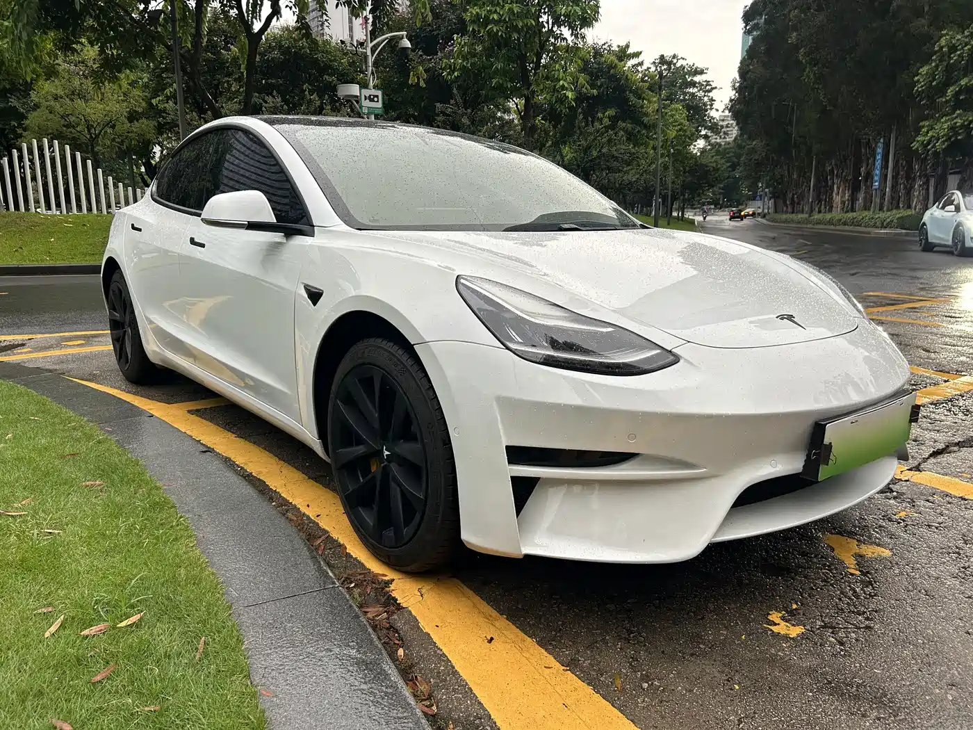 Tesla Model 3 (Import) 2020 2019 Standard Range RWD Upgraded Edition