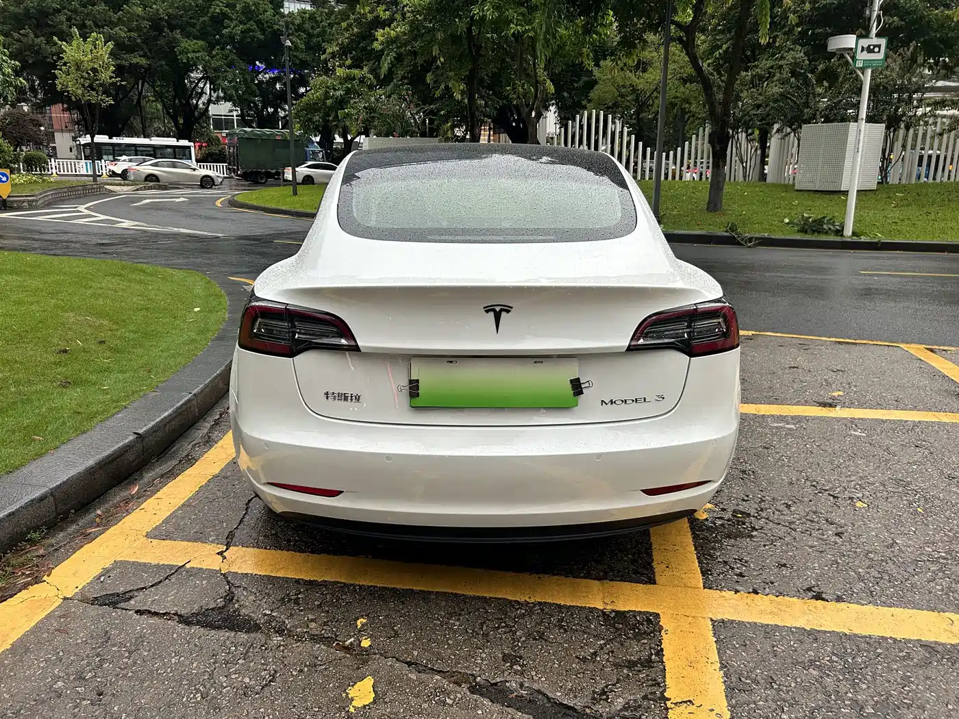 Tesla Model 3 (Import) 2020 2019 Standard Range RWD Upgraded Edition