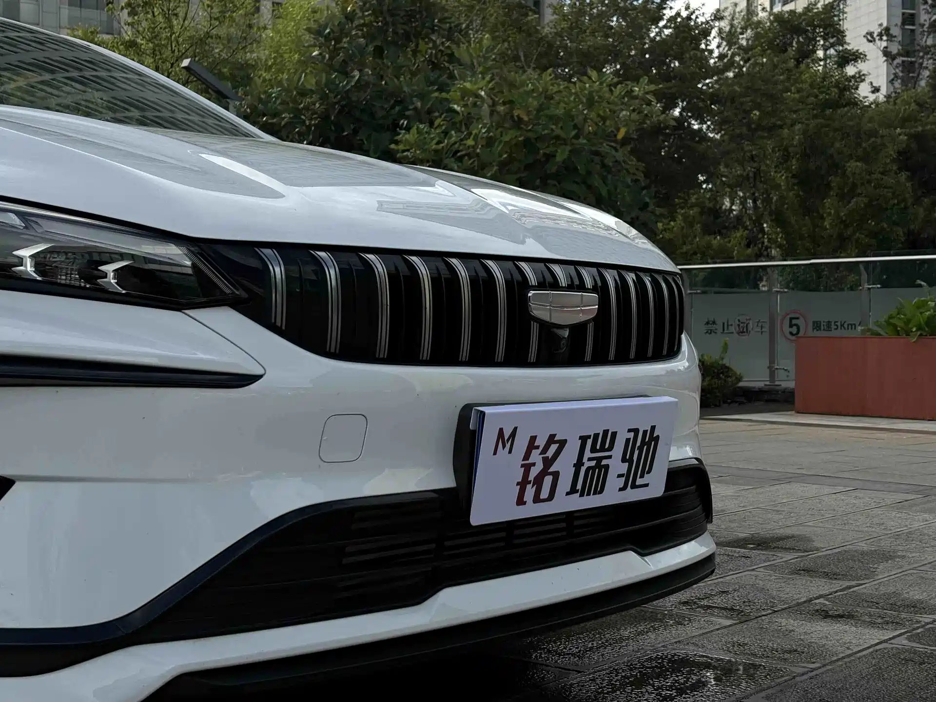 Фото 16 - Geely Binrui