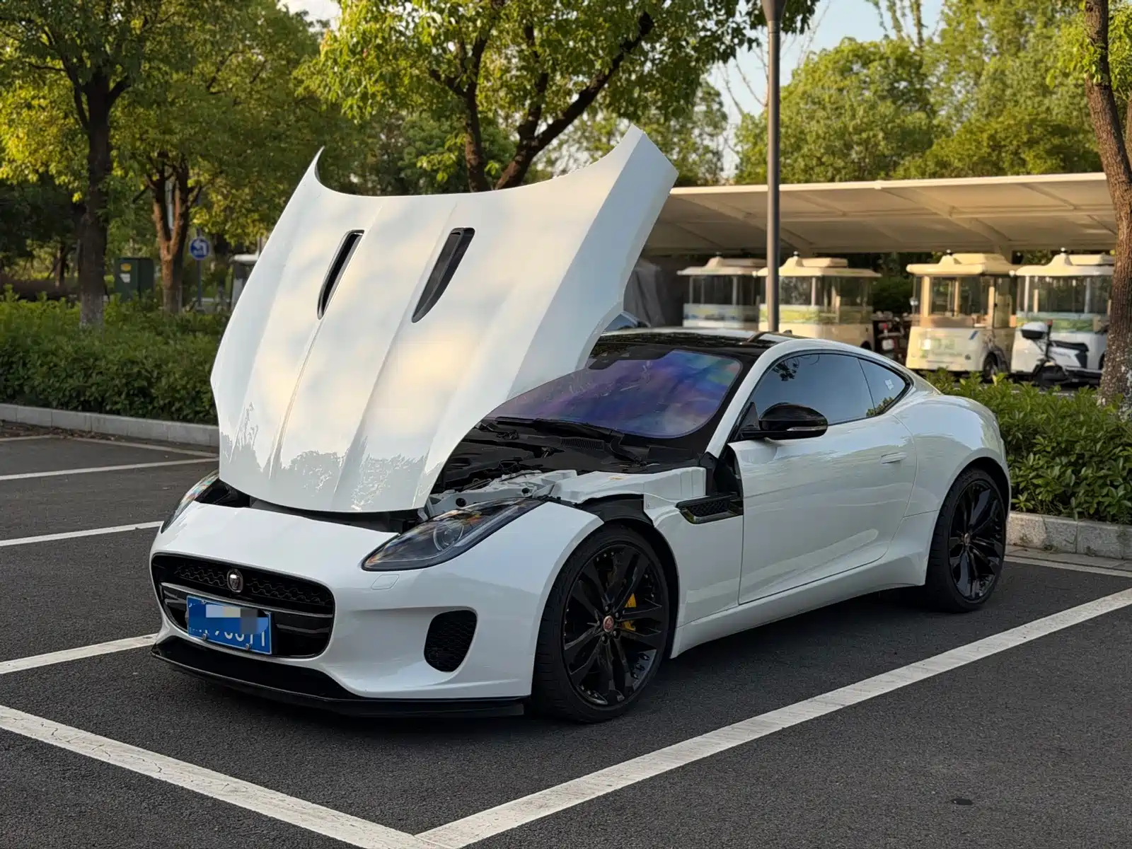 Фото 8 - Jaguar F-TYPE