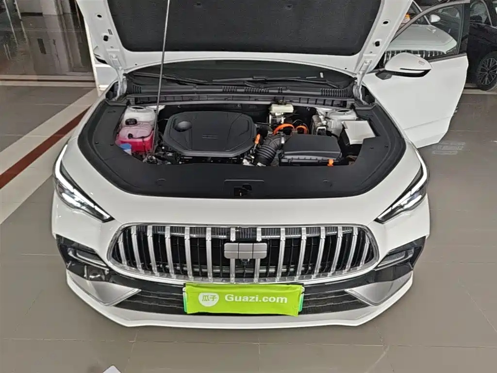 Geely Galaxy Galaxy Stellar 6 2025 60km Voyager Edition фото 20