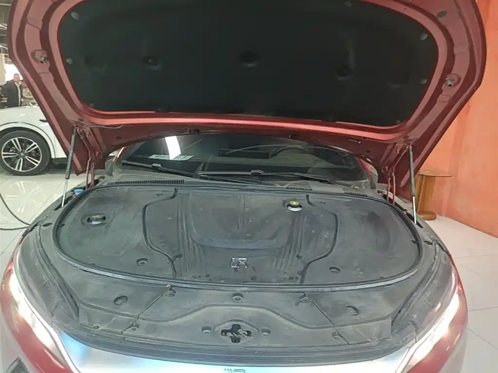 BYD Han 2020 EV Extended Range Premium фото 20