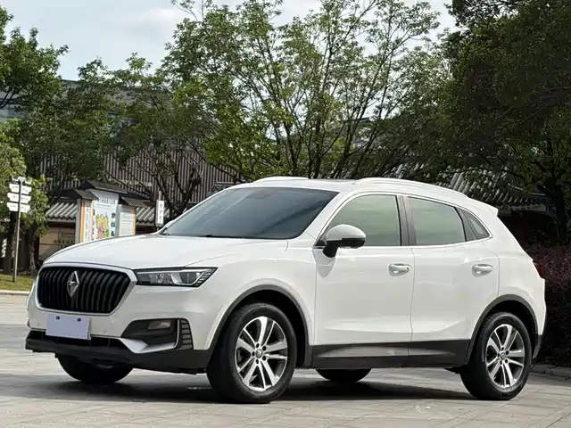 Borgward Borgward BX5 2017 25TGDI Automatic 4WD Premium Edition