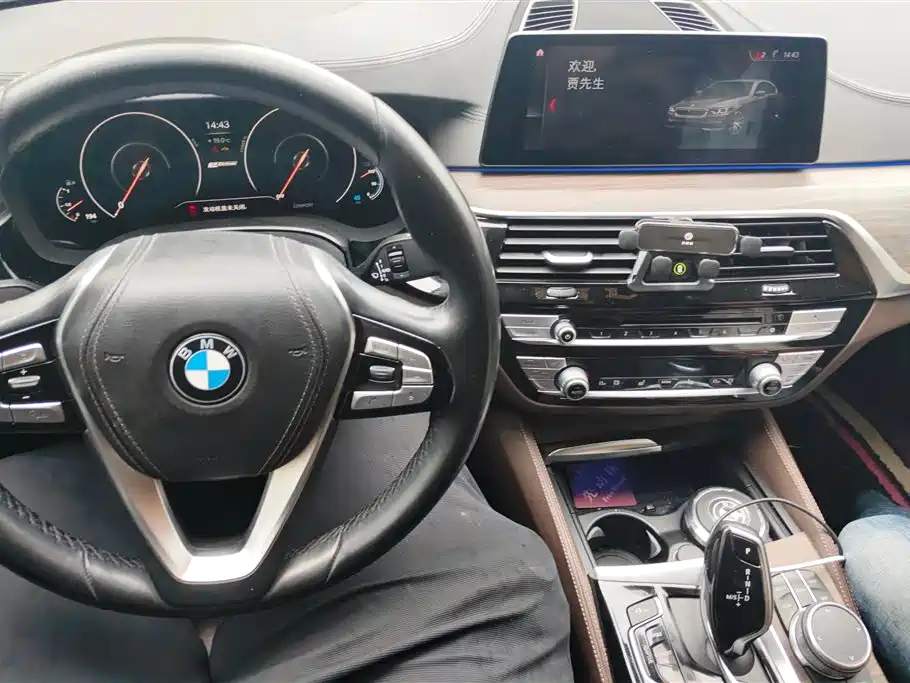 BMW 5 Series New Energy 2019 530Le Luxury Package фото 12