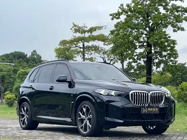BMW X5 2025 Model xDrive 30Li Exclusive M Sport Blackout Package — фото 3