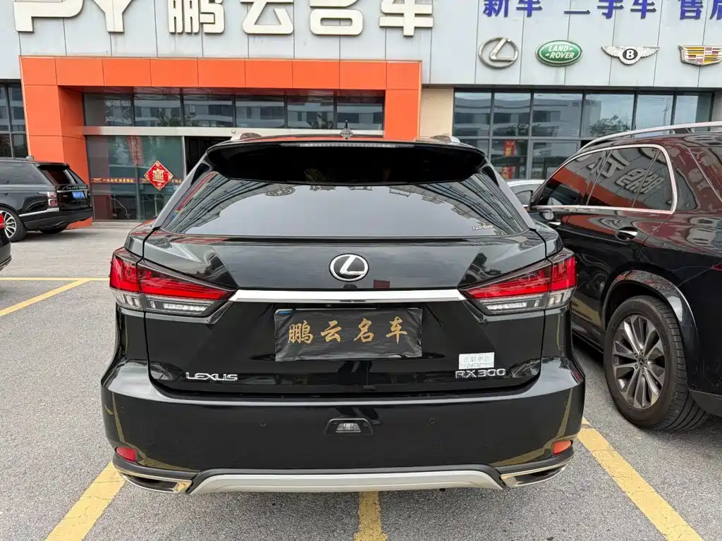 Фото 7 - Lexus RX