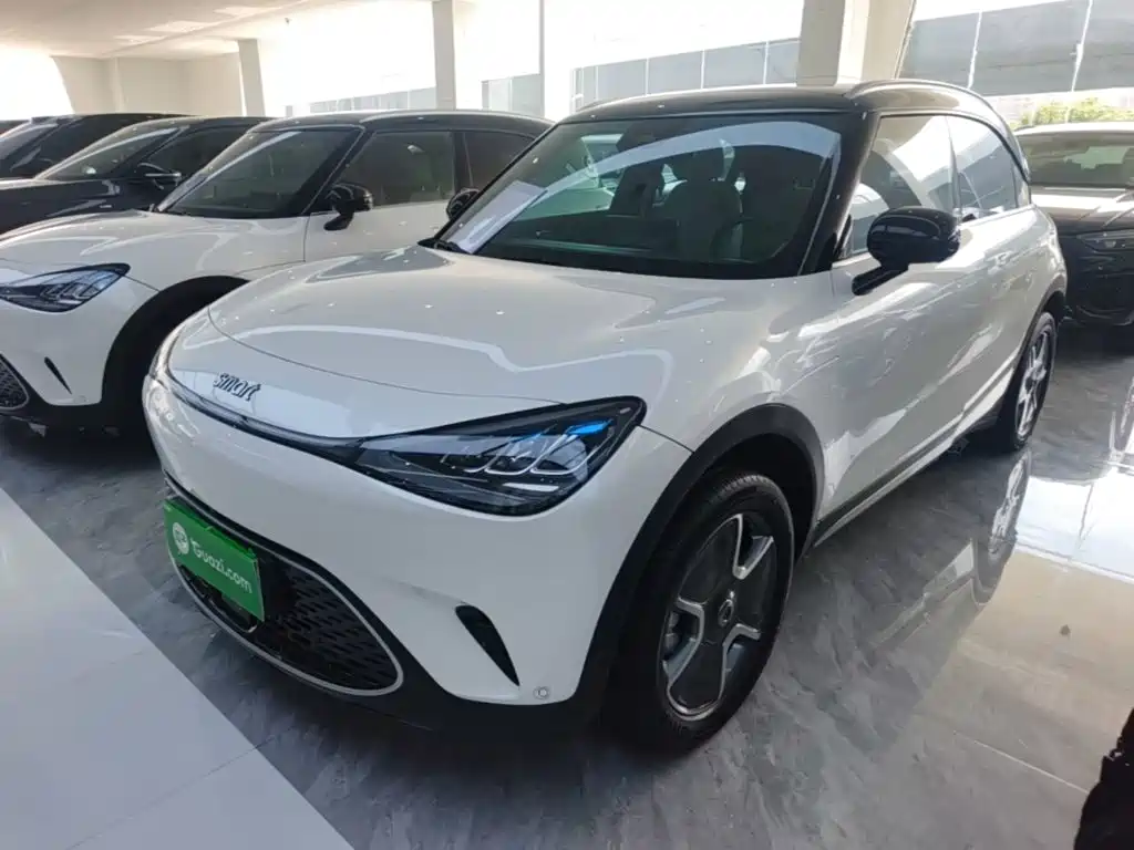 smart smart Elf #1 2023 Model Pro Edition