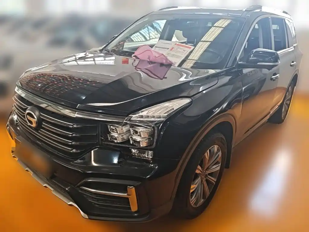 GAC Trumpchi Trumpchi GS8 2020 — пригон из Китая