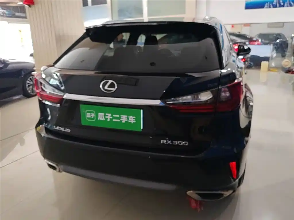 Lexus RX 2016 300 2WD Elite Edition (China V) фото 6