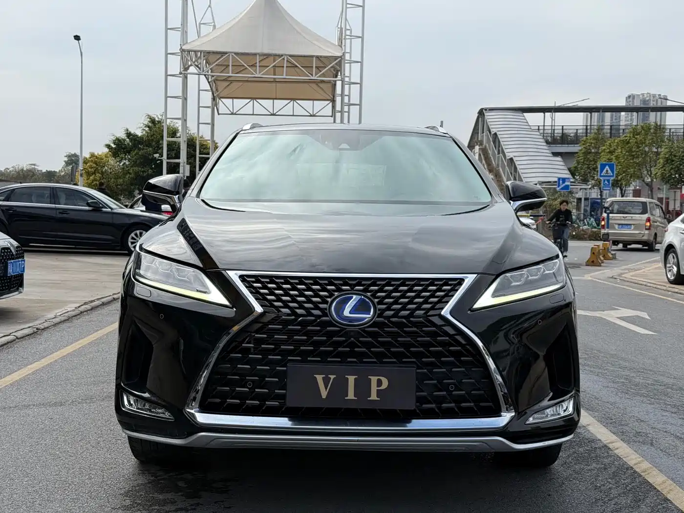 Lexus RX 2020 450hL AWD Chunxiang Edition 7-Seater фото 2