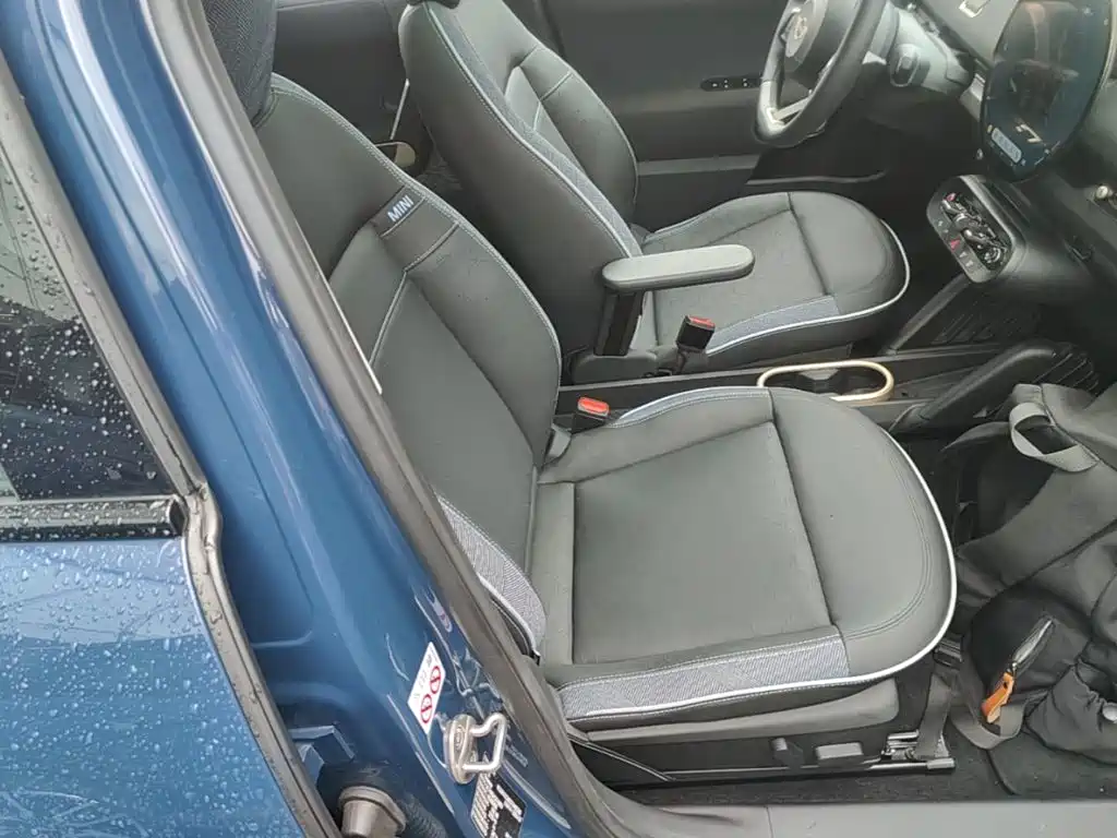 MINI Electric MINI ACEMAN 2024 2024 Model SE Artist