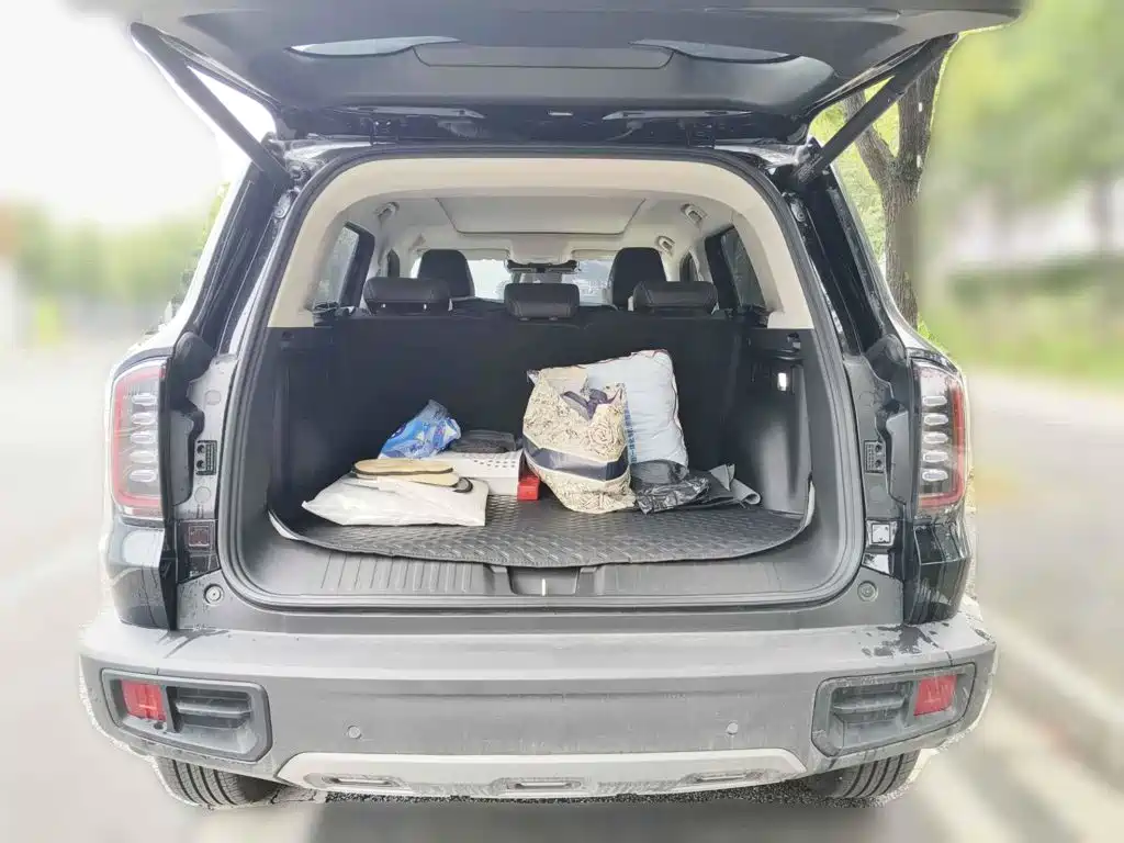 Фото 4 - Haval Dargo
