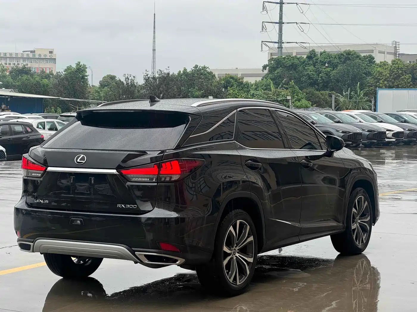 Lexus RX 2020 Facelift 300 AWD Elegance Edition фото 8