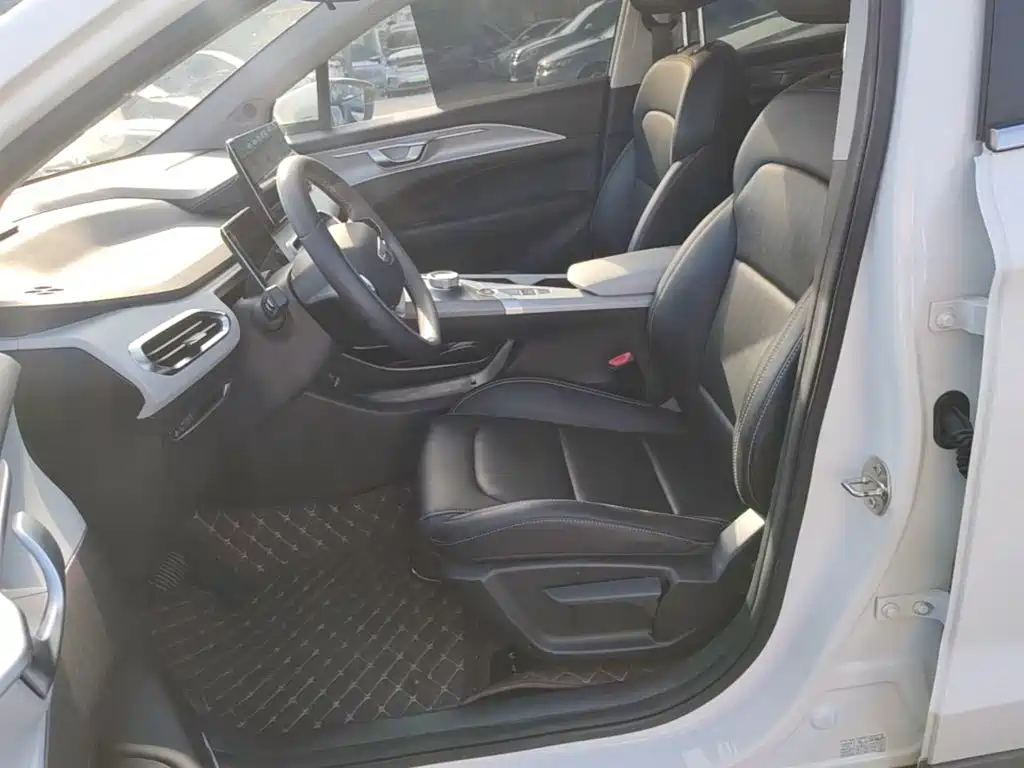 Geely Geometry C 2021 2020 Preferred Range Edition 400KM C+ Pro