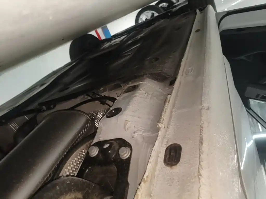 Photo 22 - Volkswagen Sagitar