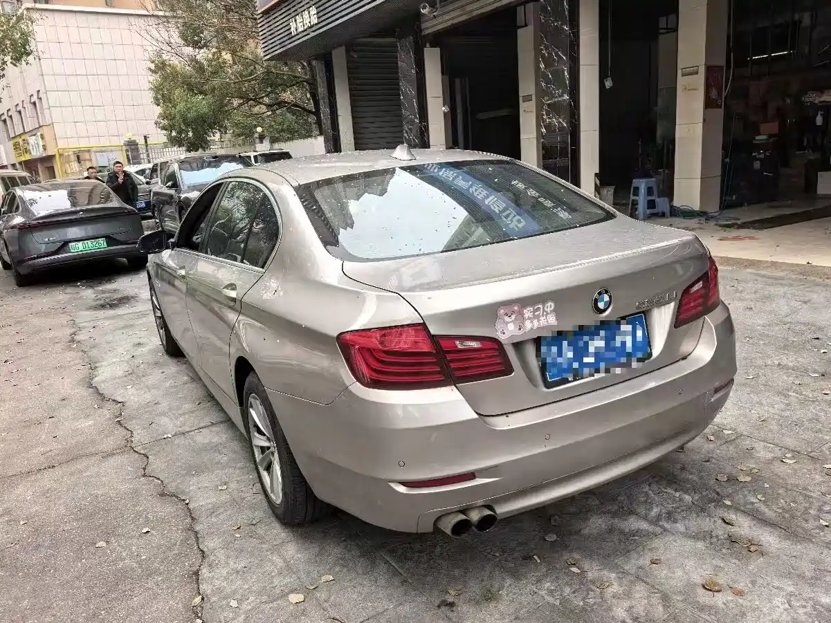 BMW 5 Series 2014 520Li Elegance фото 4