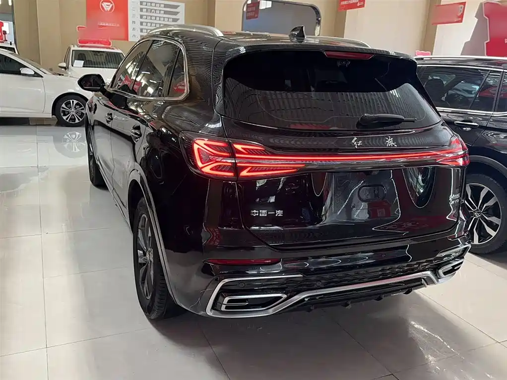 Hongqi HS5 2023 2.0T Flag Enjoy Pro Edition фото 16