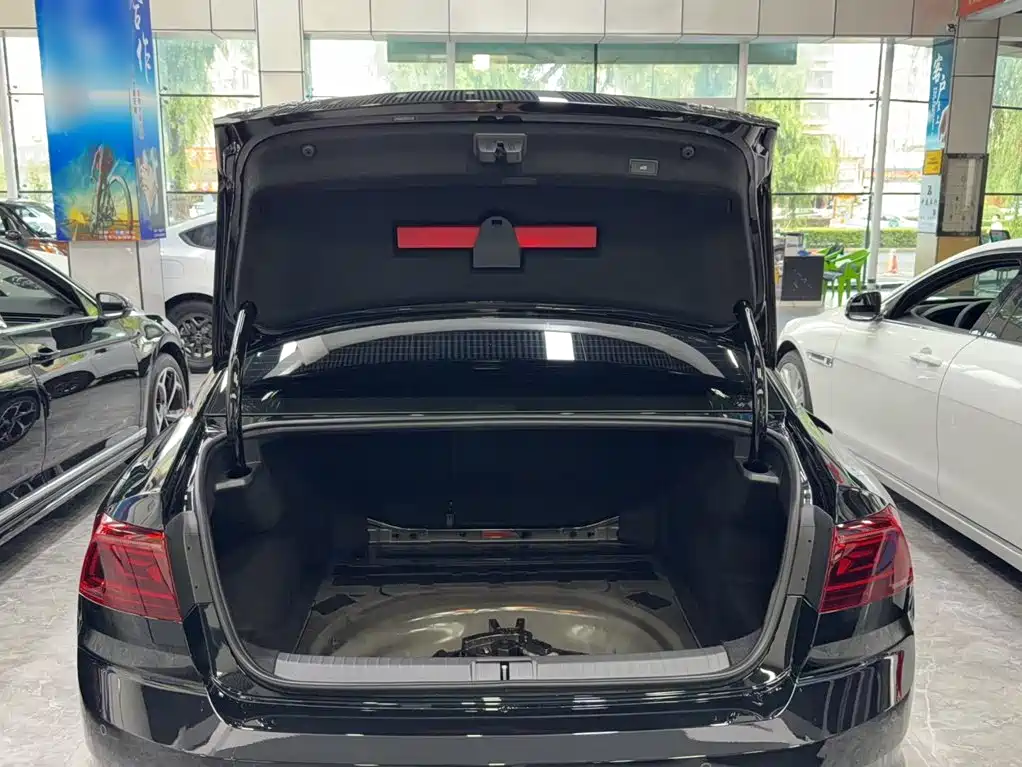 Volkswagen Magotan 2026 2026 Model 30 Million Special Selection 380TSI DSG Luxury