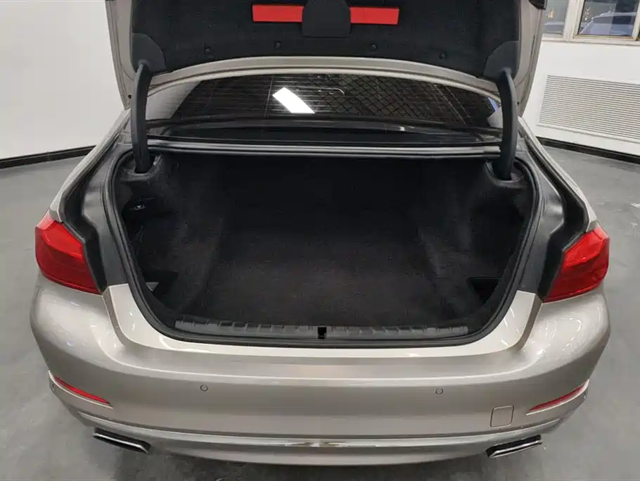BMW 5 Series 2018 Facelift 530Li xDrive Luxury Package фото 4