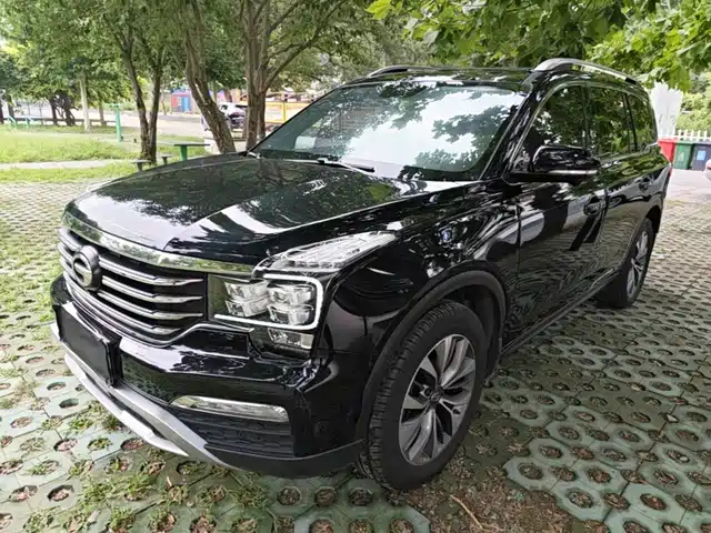GAC Trumpchi Trumpchi GS8 2019