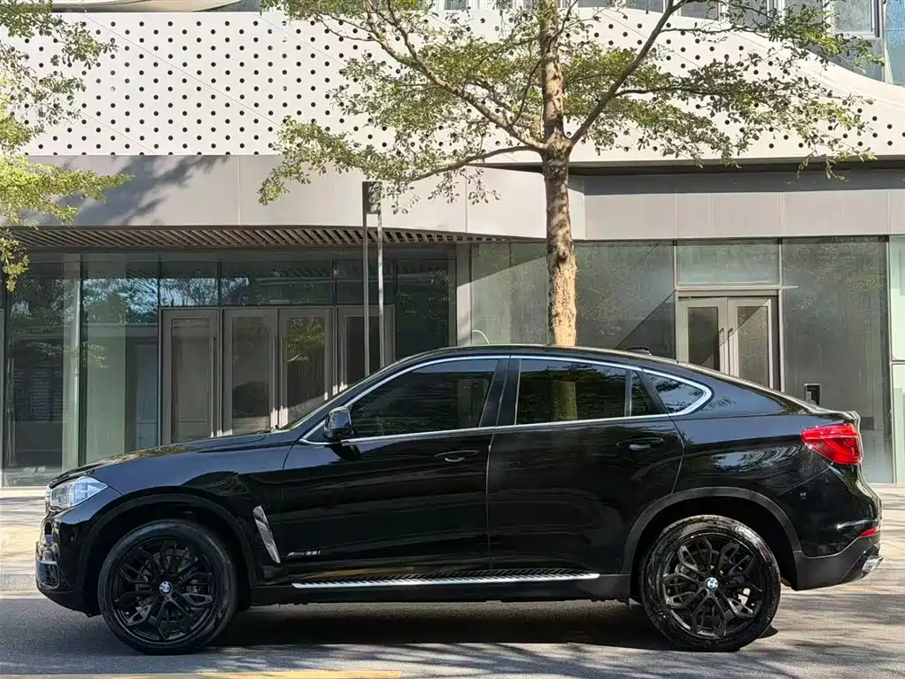 BMW X6 фото 16