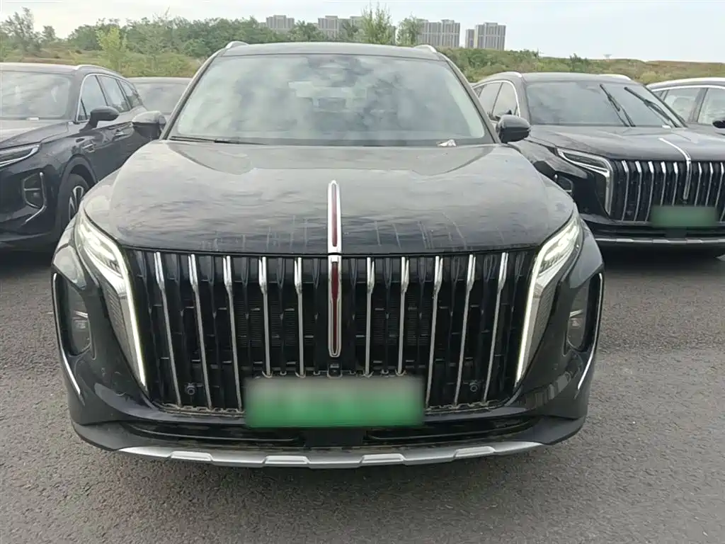 Hongqi HS7 PHEV 2024 2.0T PHEV AWD Qichang Edition 7-seater фото 3
