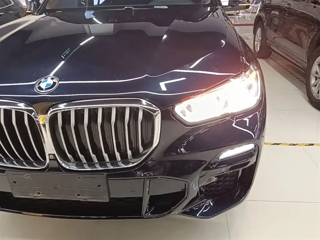 BMW X5 (Import) 2019 xDrive40i M Sport Package фото 24