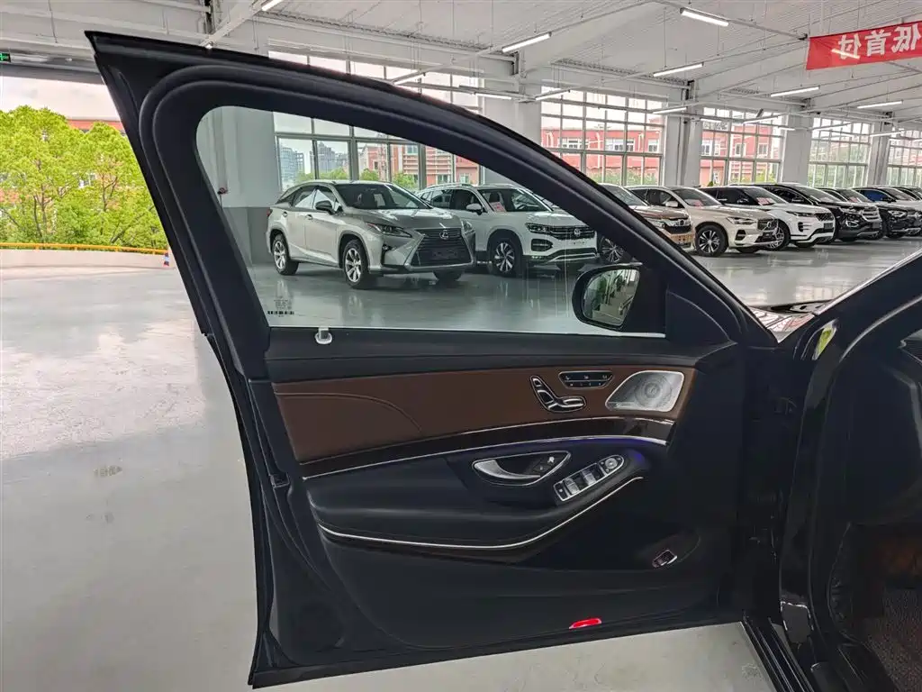 Mercedes-Benz S-Class 2020 S 350 L Premium Edition Collector's Version фото 16