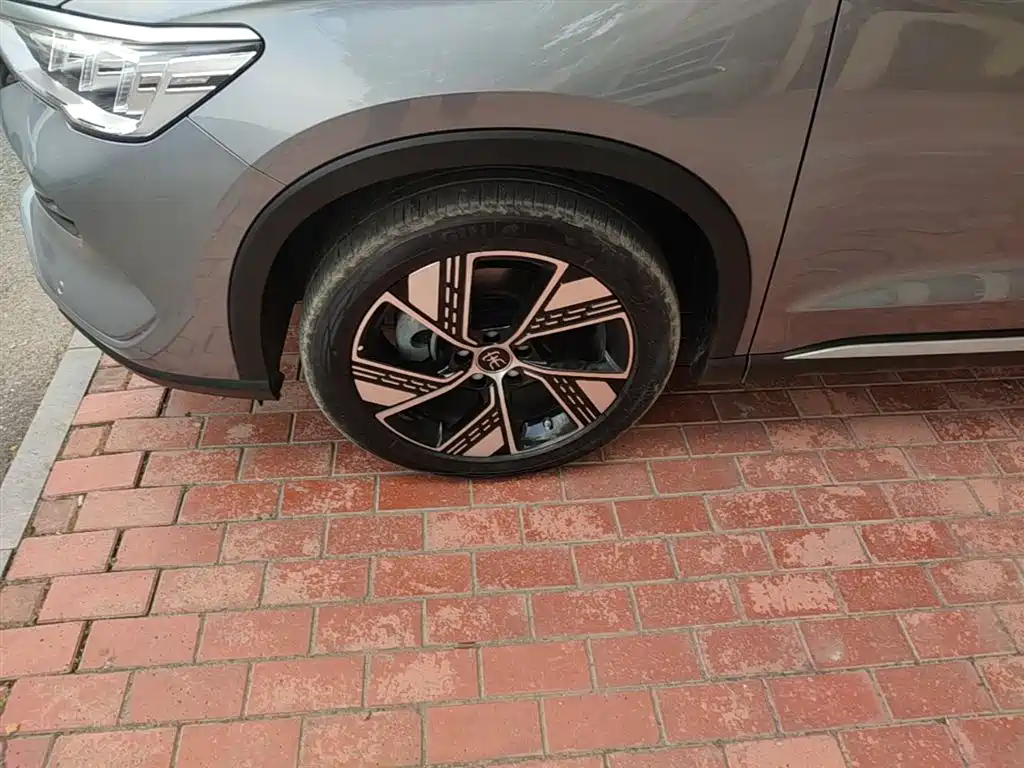 BYD Song Pro New Energy 2024 Glory Edition DM-i 110KM Excellence фото 23