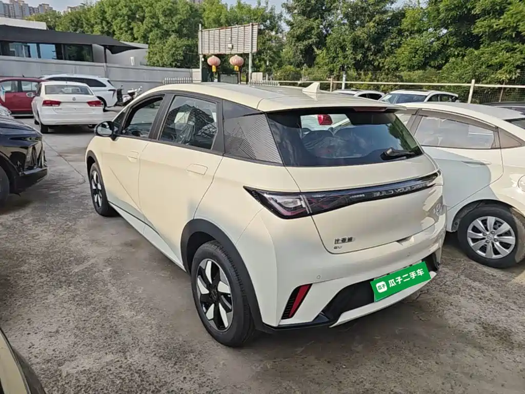 BYD Dolphin 2026 2025 420km Freedom Edition
