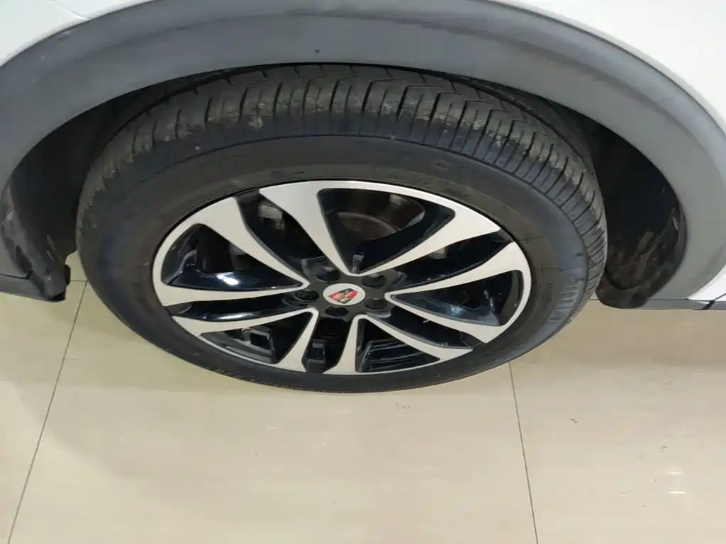 Фото 25 - Roewe RX3