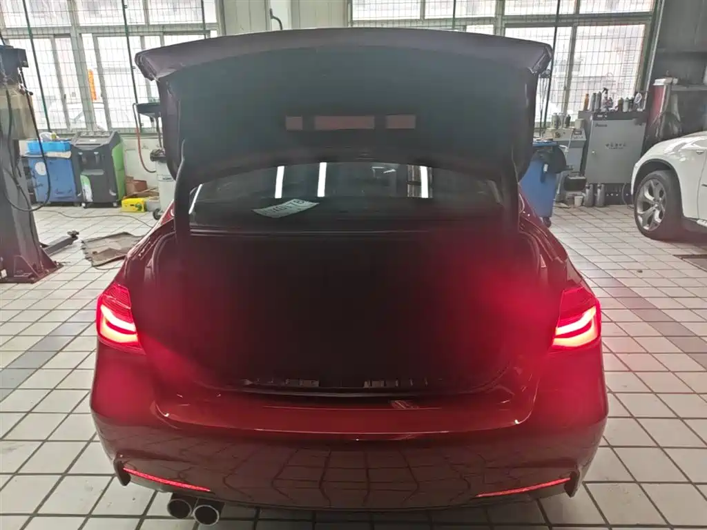 BMW 3 Series 2018 320Li Leading M Sport Package фото 19