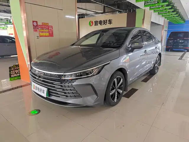 BYD Destroyer 05 2024