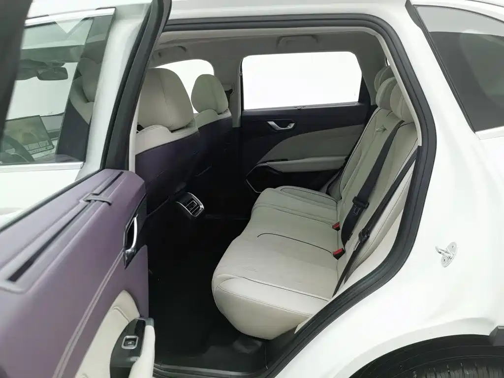 WEY Latte DHT 2022 2022 1.5T DHT Large