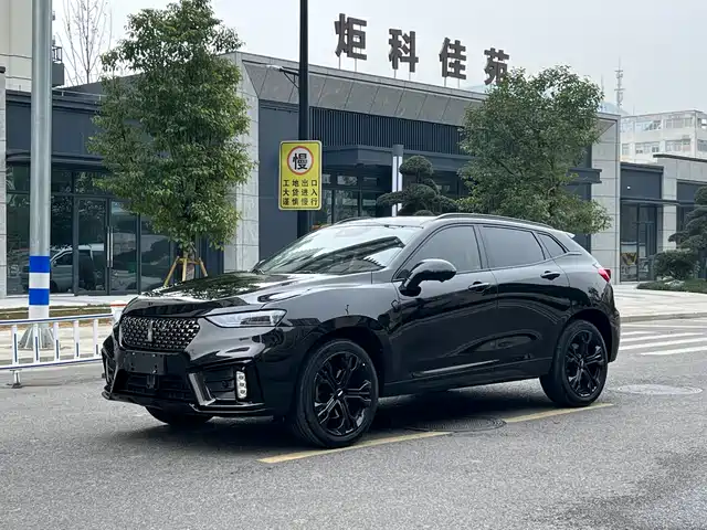 WEI PAI WEI BRAND VV7