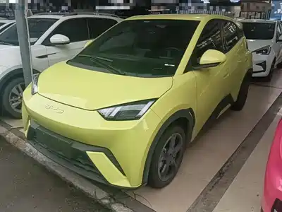 BYD Seagull
