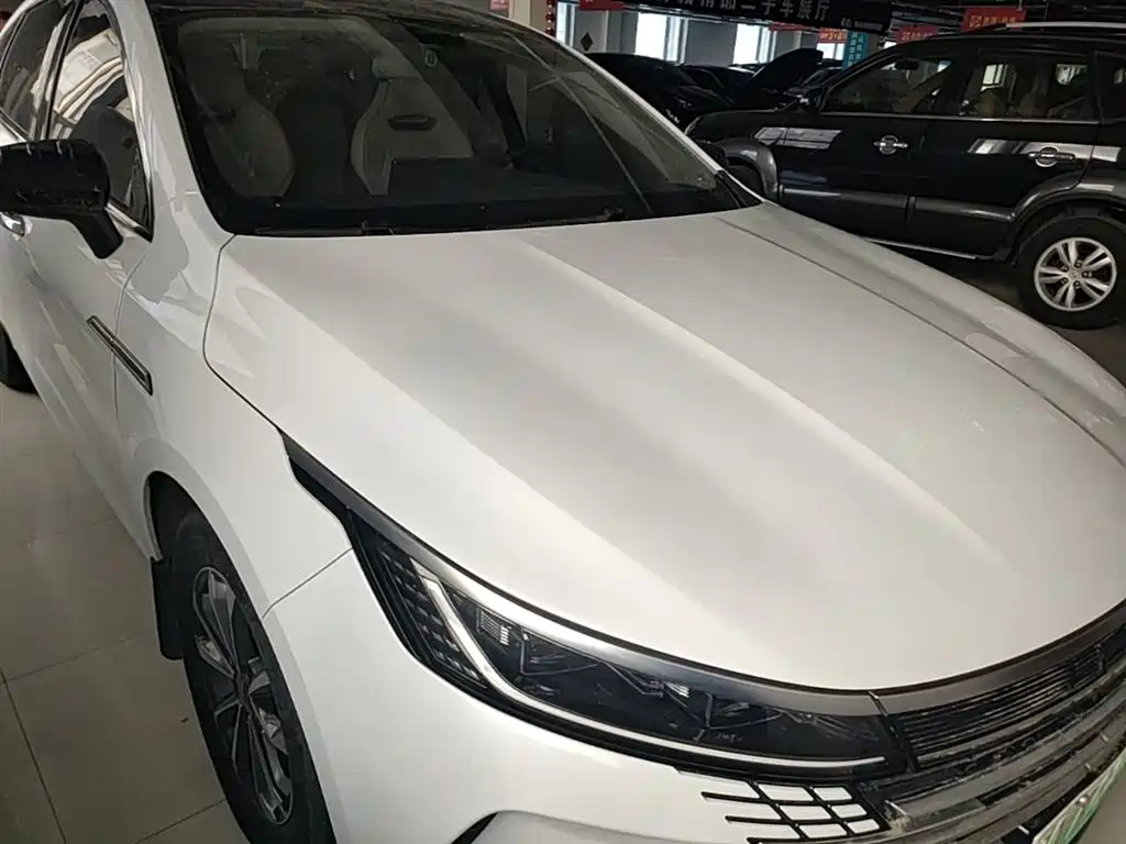 BYD Destroyer 05 2023 Champion Edition DM-i 55KM Luxury фото 4