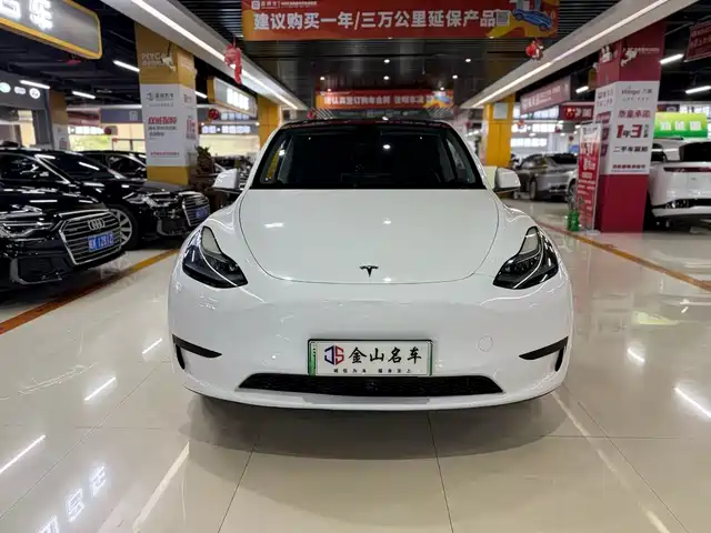 Tesla Model Y 2024 Rear-Wheel Drive Version — фото 2