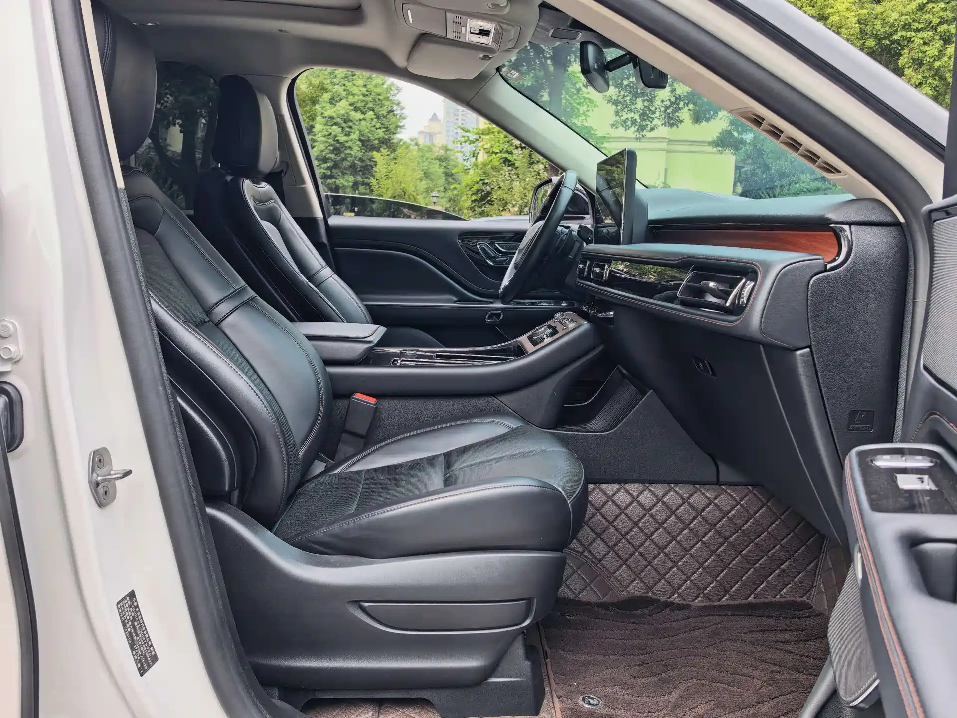 صورة 10 - Lincoln Aviator