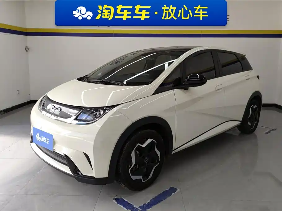 BYD Dolphin 2021