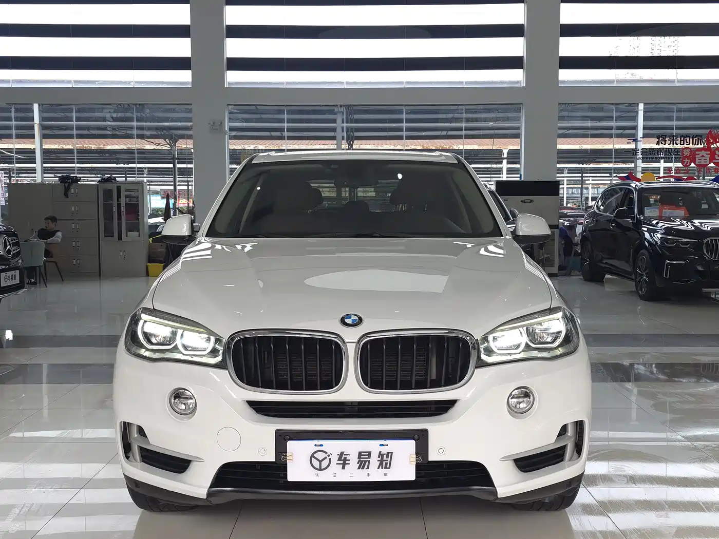 BMW X5 (Import) 2014 xDrive35i Elegance фото 2