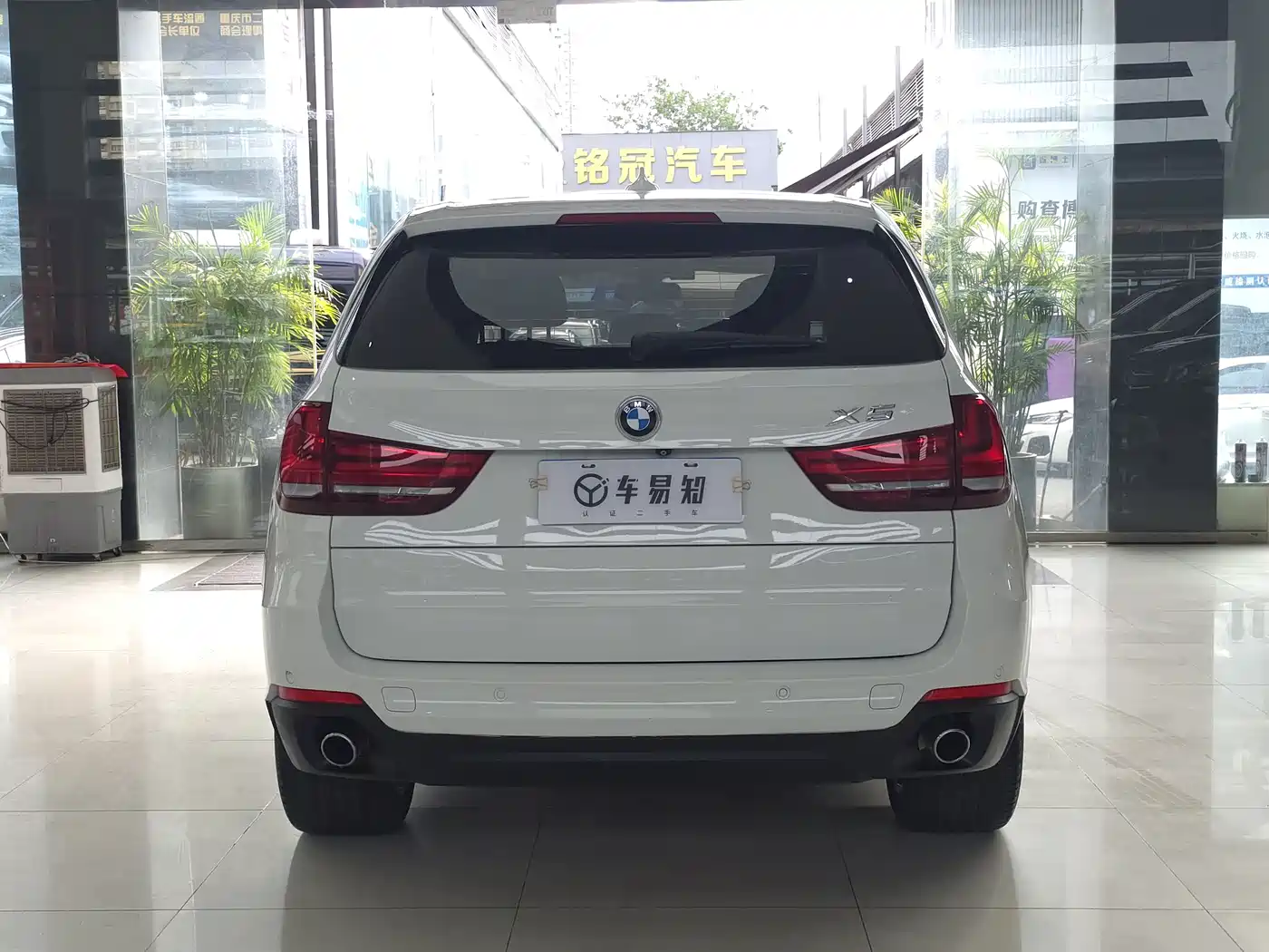 BMW X5 (Import) 2014 xDrive35i Elegance фото 5