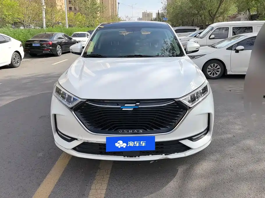 Changan Oshan X7 2021 2021 1.5T Automatic Luxury