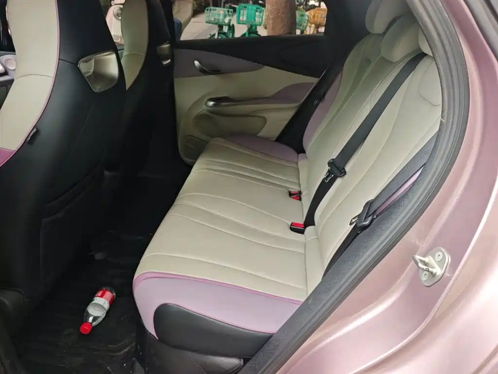 BYD Dolphin 2021 Model 405km Fashion Edition фото 13