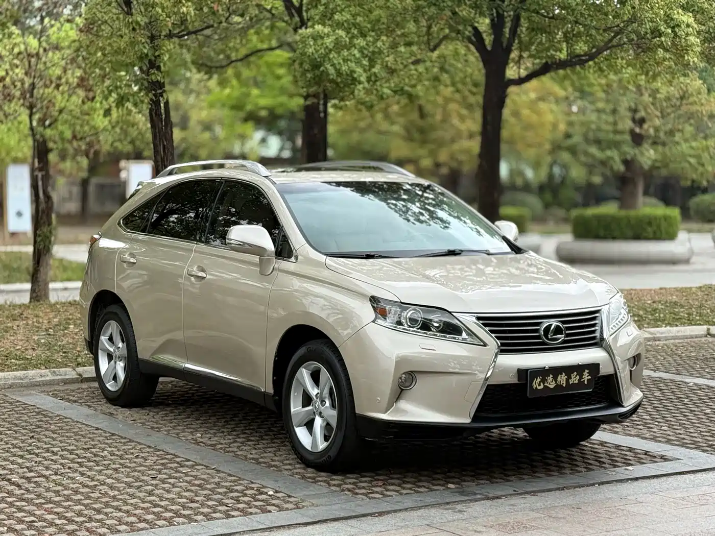 Lexus RX Classic 2012 270 Elegance фото 3