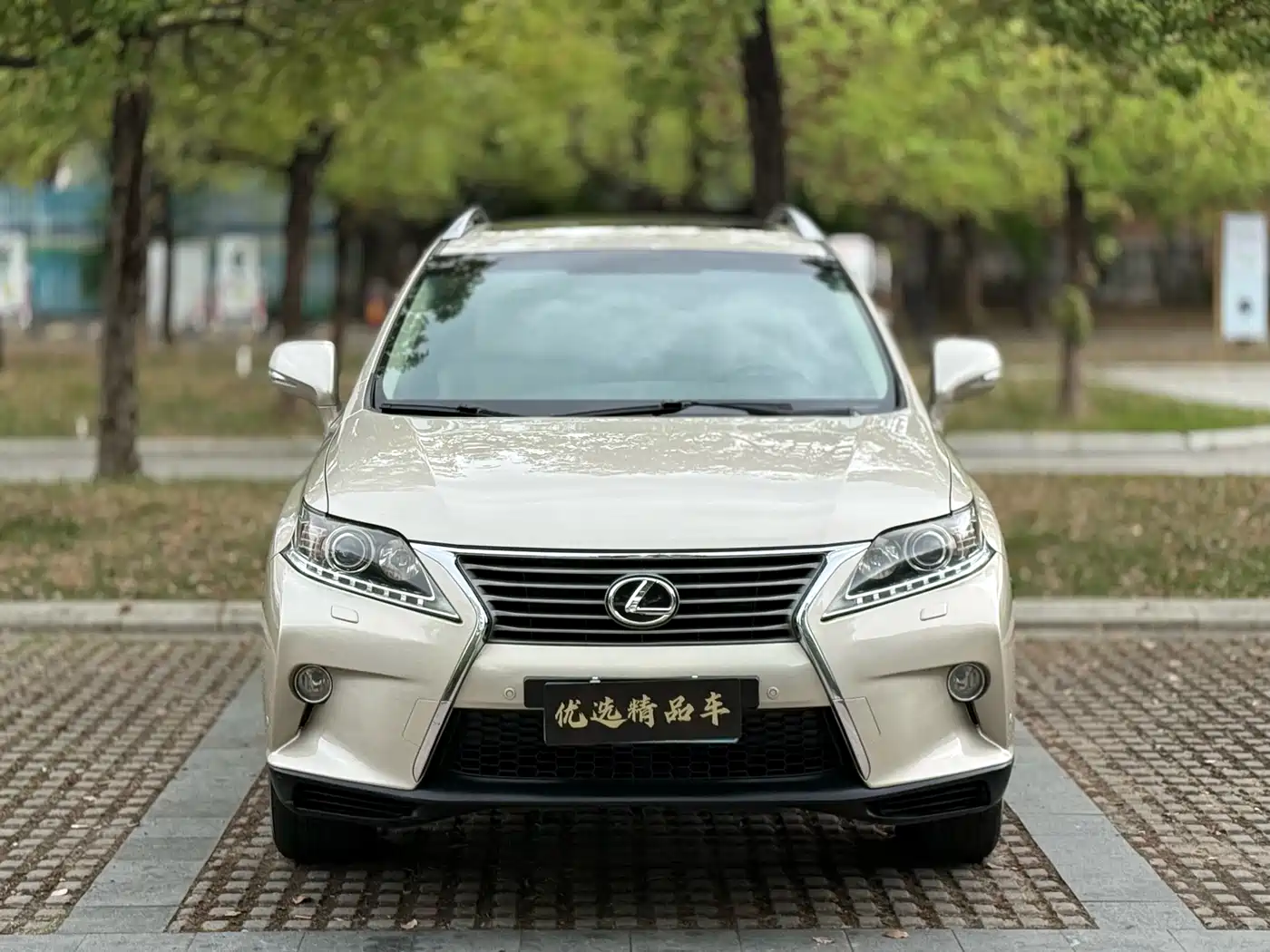 Lexus RX Classic 2012 270 Elegance фото 2